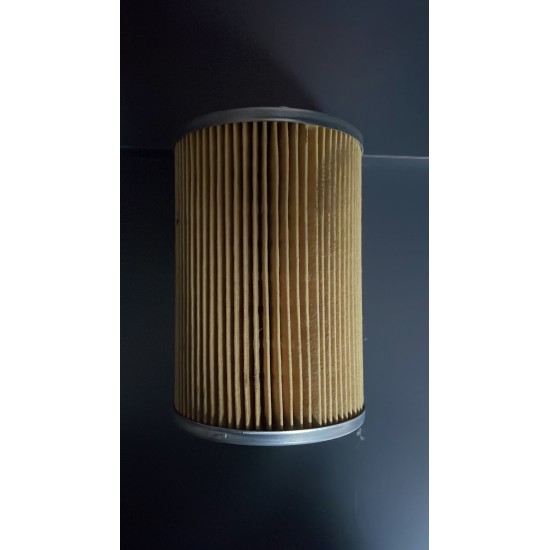 Gen Power Yakıt Filtresi G99.01.02.180